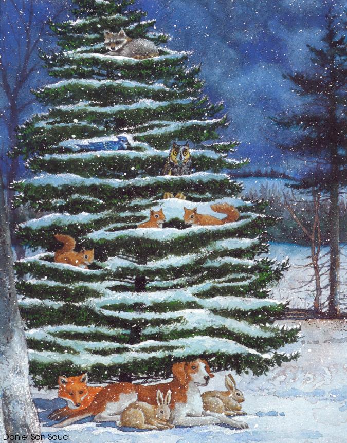 Daniel San Souci Animals sheltering in an evergreen tree
