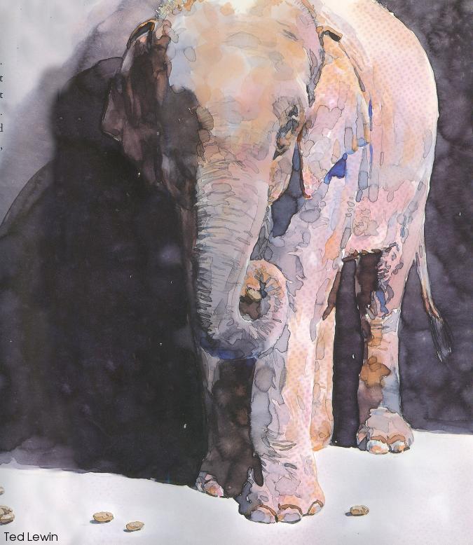 Ted Lewin An elephant