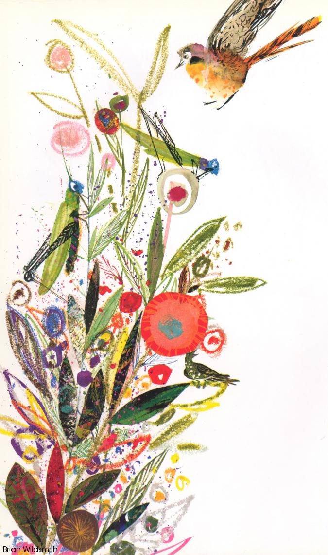 Brian Wildsmith Abstract collage painting of a tall clump of flowers with grasshoppers and birds