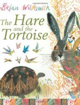 cover-rabbit and turtle looking at each other