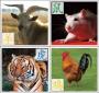 Images of a goat, rat, tiger, and rooster