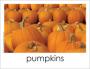Pumpkins photo card