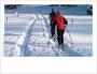 Cross-country skiing photo card