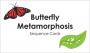Butterfly metamorphosis sequence cards