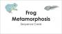 Frog metamorphosis sequence cards
