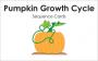Pumpkin growth cycle sequence cards